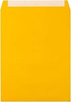 LUX Open-End 10 x 13 Envelopes, Peel & Press Closure