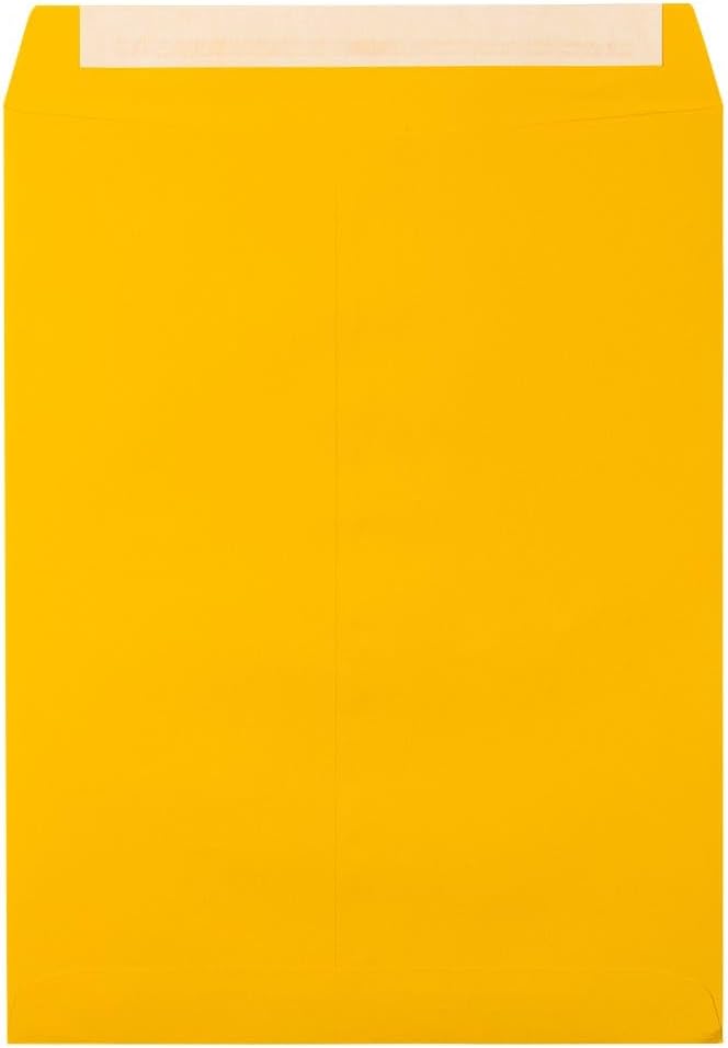 LUX Open-End 10 x 13 Envelopes, Peel & Press Closure