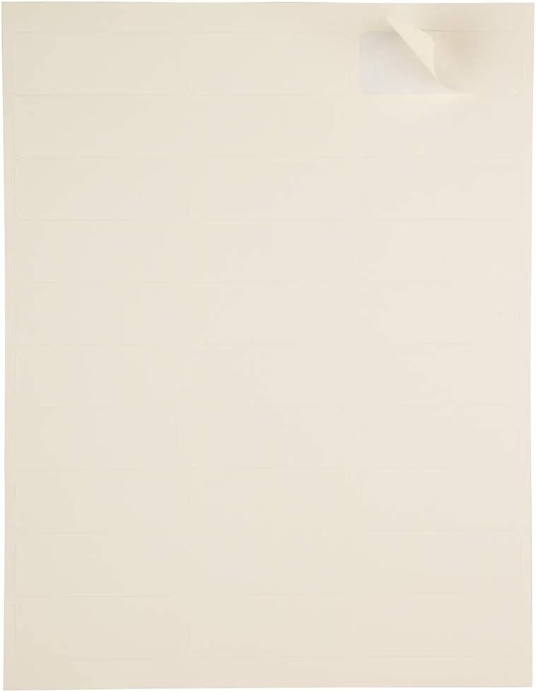 JAM PAPER Mailing Address Labels - Self-Adhesive Rectangular