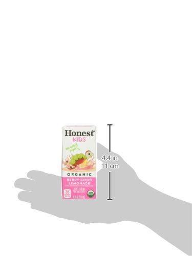 Honest Kids Organic Fruit Juice Drink Boxes Variety Pack, 6 Oz, Pack Of 40 Boxes