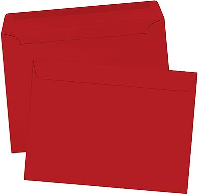 LUX 9 x 12 Booklet Envelopes