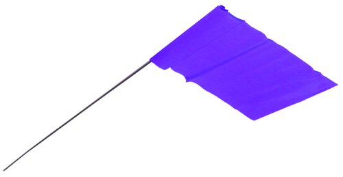 2.5"X3.5" BLUE STAKE FLAG W/21" WIRE STEM