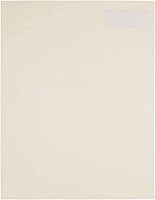 JAM PAPER Mailing Address Labels - Self-Adhesive Rectangular