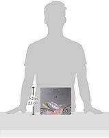 Crayola Colored Pencils, Assorted Colors, Set Of 12 Color Pencils