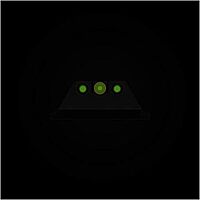 NIGHT FISION Perfect Dot Night Sight Set