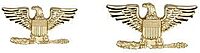 Metal Rank Insignia, Col. Eagle, Gold, PR