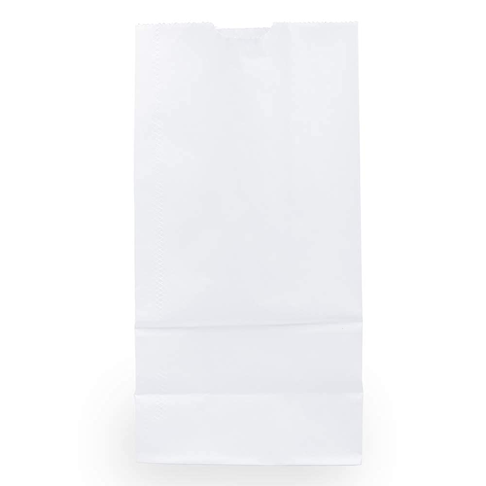 JAM PAPER 100% Recycled Kraft Snack/Lunch Bags - 25/Pack