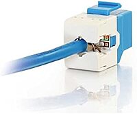 Cables To Go - Keystone jack - RJ-45 - blue - 1 port