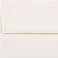 JAM PAPER Booklet Invitation Envelopes