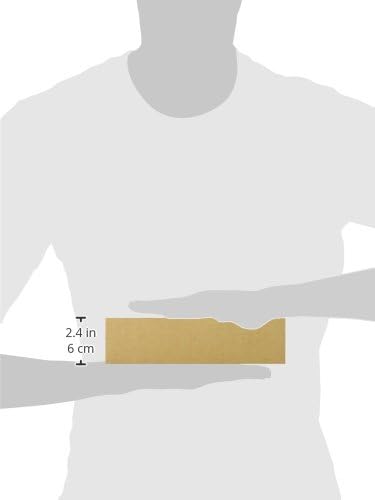 Wooster Brush A1147-2 Solvent Proof Bristle Chip Paint Brush, 2-Inch, White