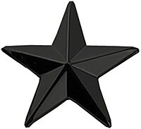 HERO'S PRIDE Five-Pointed Star Rank Insignia Pin