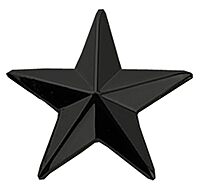 HERO'S PRIDE Five-Pointed Star Rank Insignia Pin