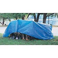 ANCHOR 8' x 12' Polyethylene Woven Tarpaulin - Reinforced, Grommets Every 3 ft