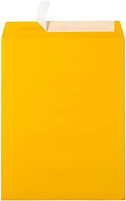 LUX Open-End 10 x 13 Envelopes, Peel & Press Closure