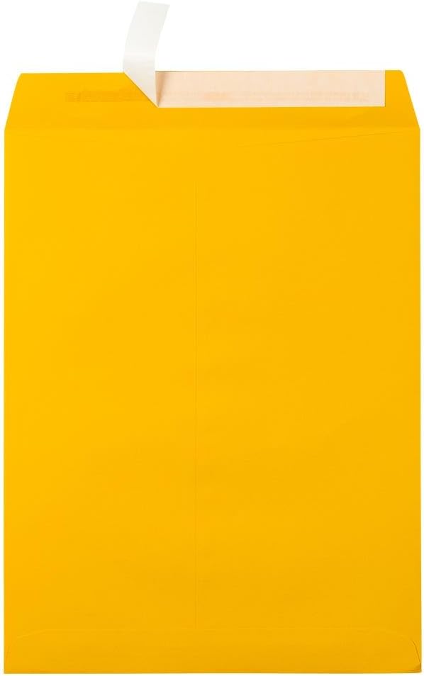 LUX Open-End 10 x 13 Envelopes, Peel & Press Closure