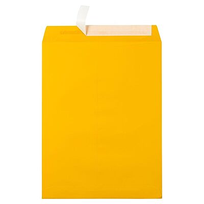 LUX Open-End 10 x 13 Envelopes, Peel & Press Closure