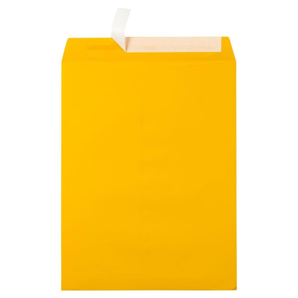 LUX Open-End 10 x 13 Envelopes, Peel & Press Closure