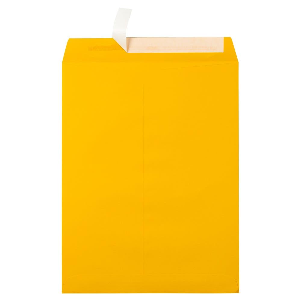 LUX Open-End 10 x 13 Envelopes, Peel & Press Closure