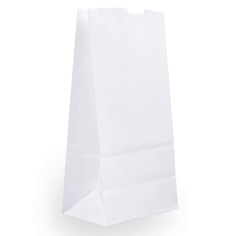 JAM PAPER 100% Recycled Kraft Snack/Lunch Bags - 25/Pack