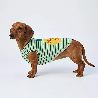 Dog clothes