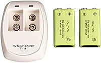 Garrett Recharger Kit for Garrett SuperWand and THD - 2 NiMH Batteries and 110 Volt Charger 1612000