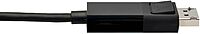 TRIPP LITE USB-C to DisplayPort Cable Adapter (Locking DP, 4K@60Hz)