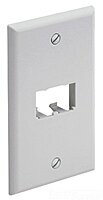 Panduit CFP2IW 1-Gang 2-Port Faceplate, Off White