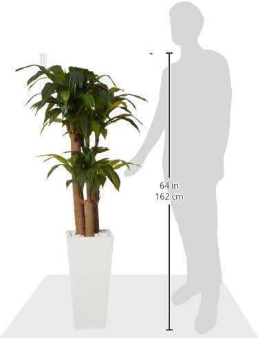 Nearly Natural Cornstalk Dracaena 60in Artificial Plant With Tower Planter, Green/White