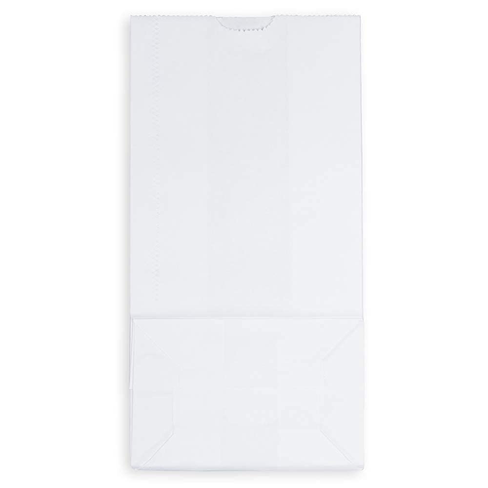 JAM PAPER 100% Recycled Kraft Snack/Lunch Bags - 25/Pack