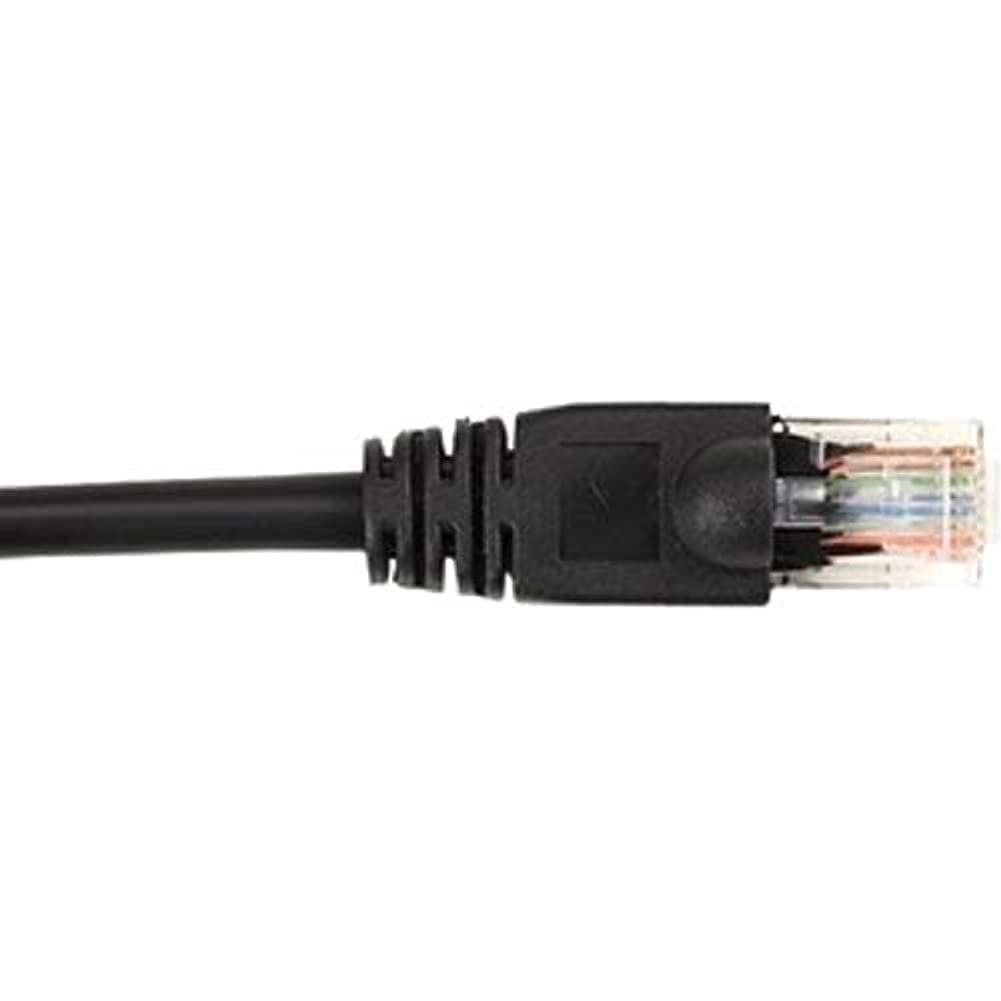 Black Box Connect Cat.6 UTP Patch Network Cable - 4 ft