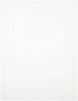 JAM PAPER Circle Label Sticker Seals - 1 2/3 Inch Diameter - 120 Round Labels/Pack