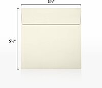LUX #10 Invoice Envelopes, Double-Window, Peel & Press Closure, White, Pack Of 500