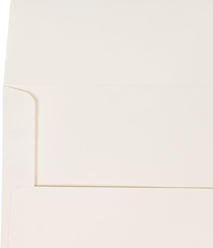 JAM PAPER Booklet Invitation Envelopes