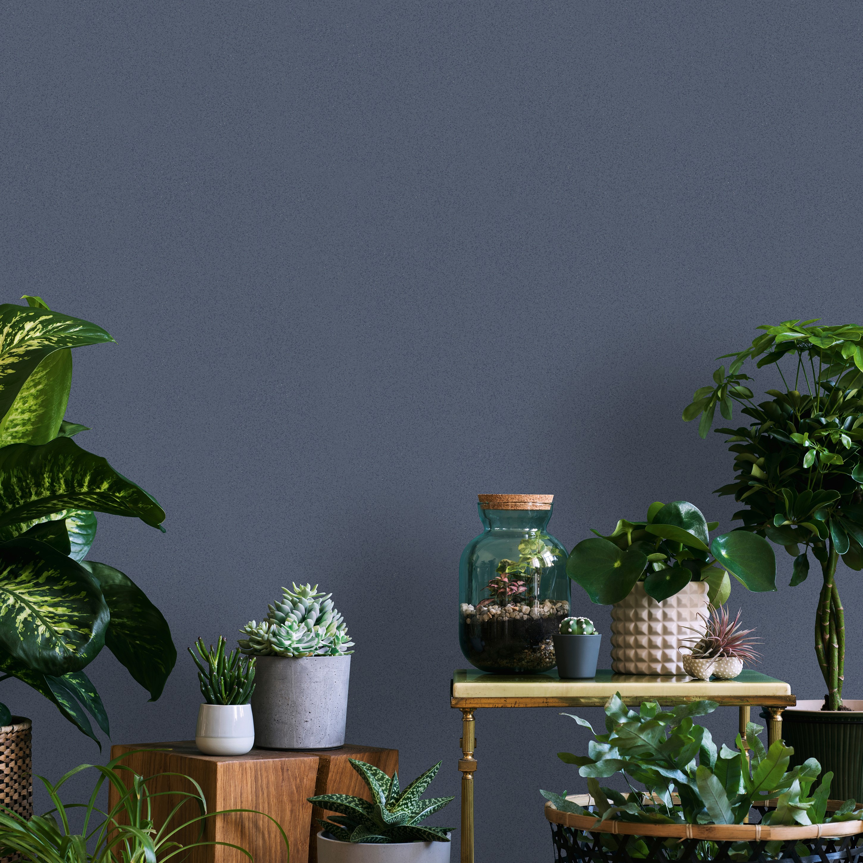 32732 Wallpaper TNTB