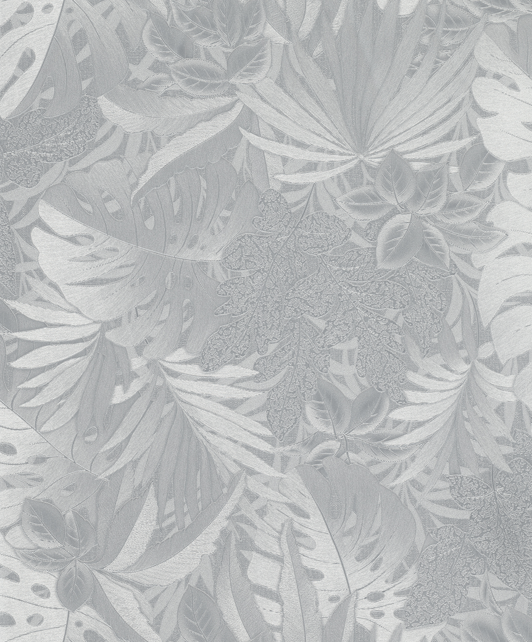 Marburg Botanica 33301