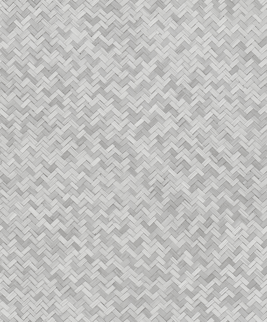 Marburg Botanica 33314