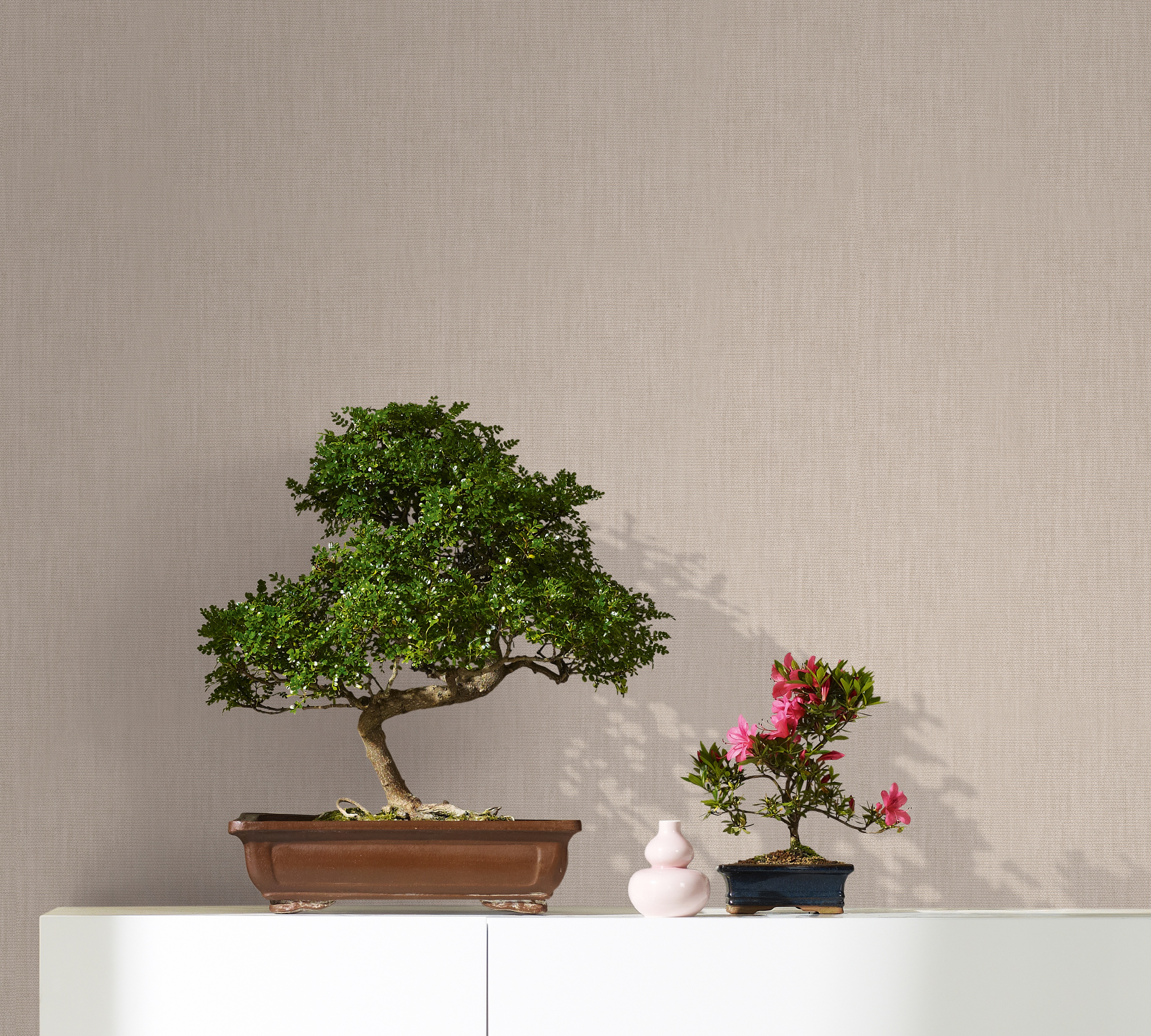 33327 Wallpaper Botanica
