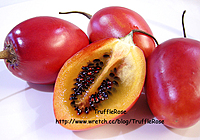 மரத்தக்காளி | Tree Tomato