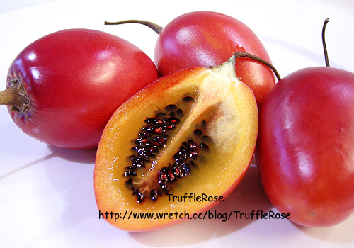 மரத்தக்காளி | Tree Tomato