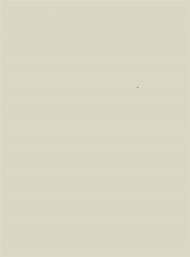 Fondo per borse 21x8 cm