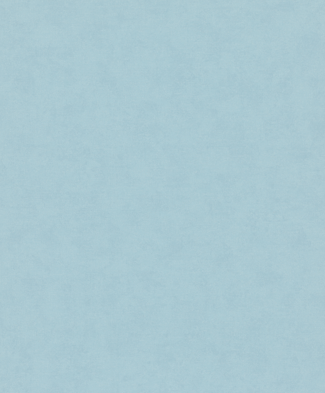 34417 Wallpaper TNTB