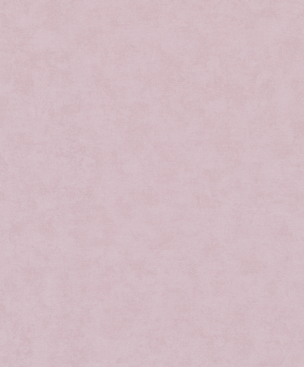 34422 Wallpaper TNTB