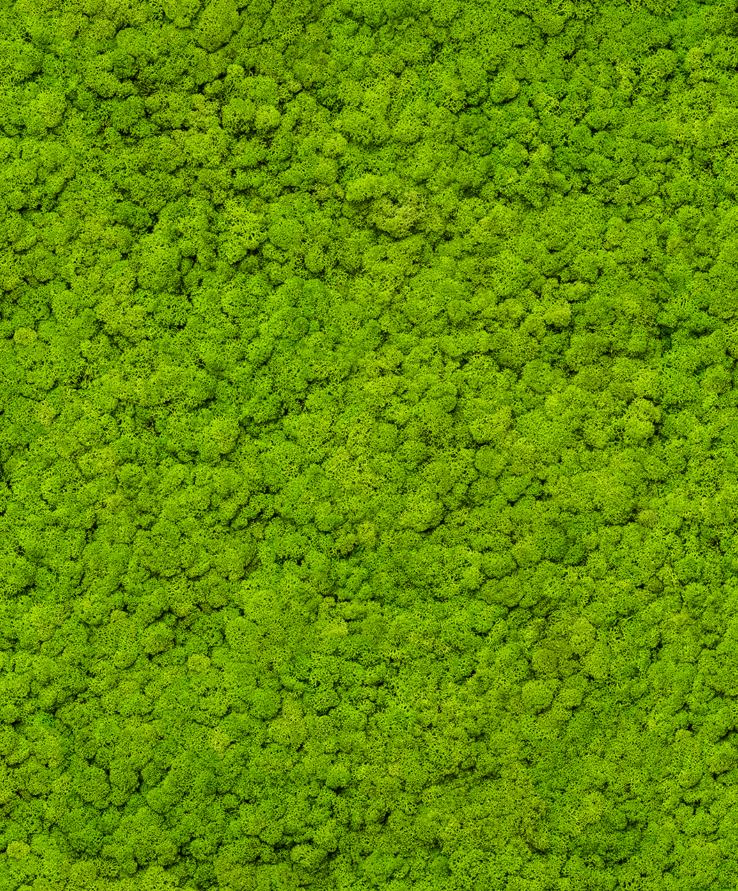 34862 Wallpaper Up to Date