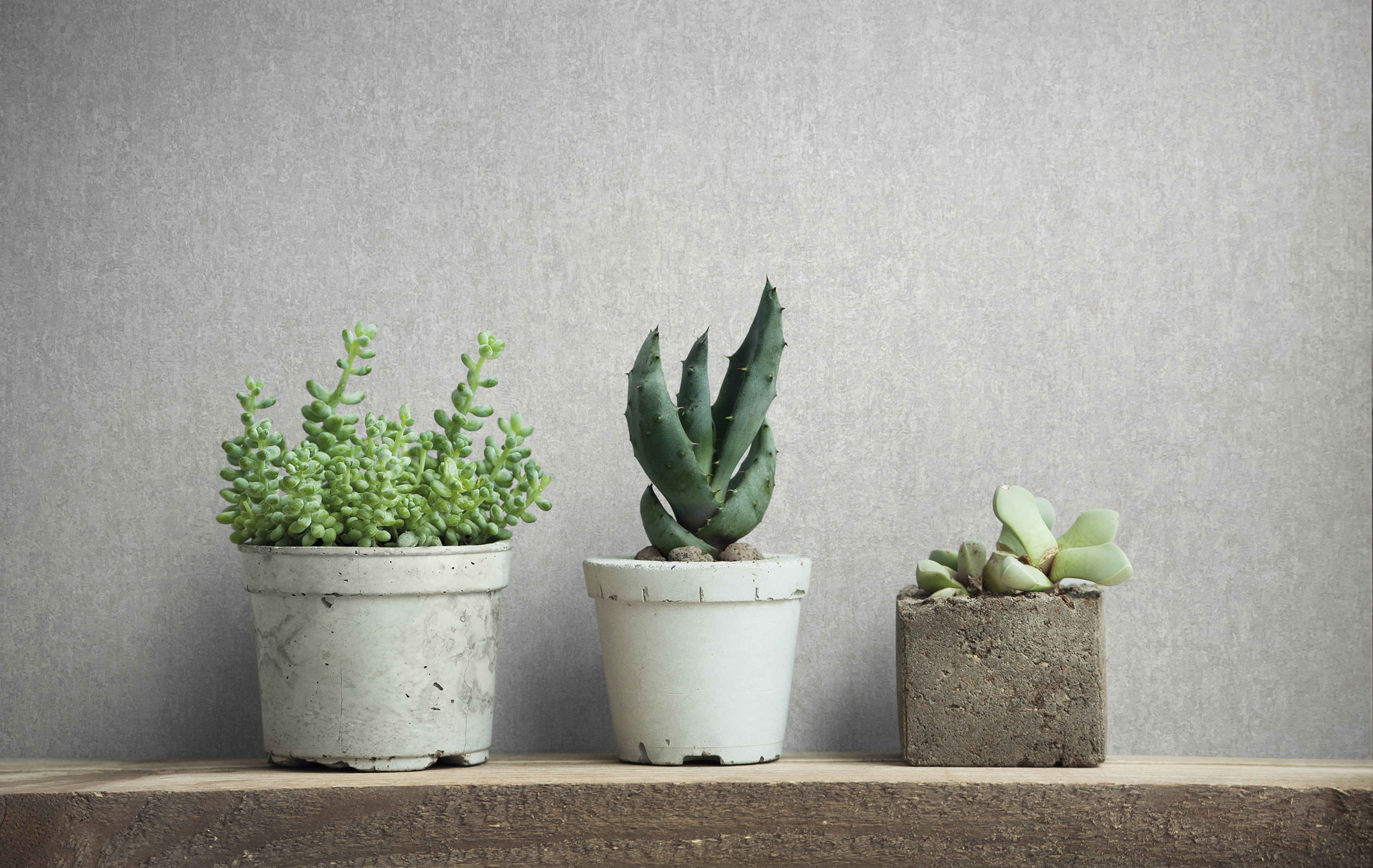 35137 Wallpaper City Romance