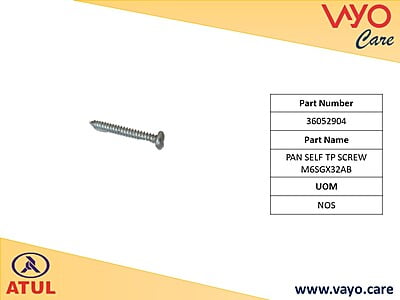 PAN SELF TP SCREW M6SGX32AB - 36052904 - GEMINI ULTRA