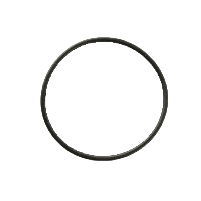 O Ring Seal