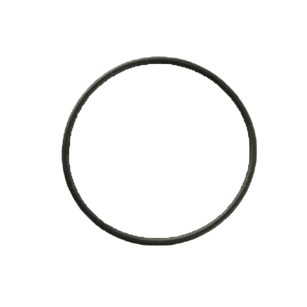 O Ring Seal