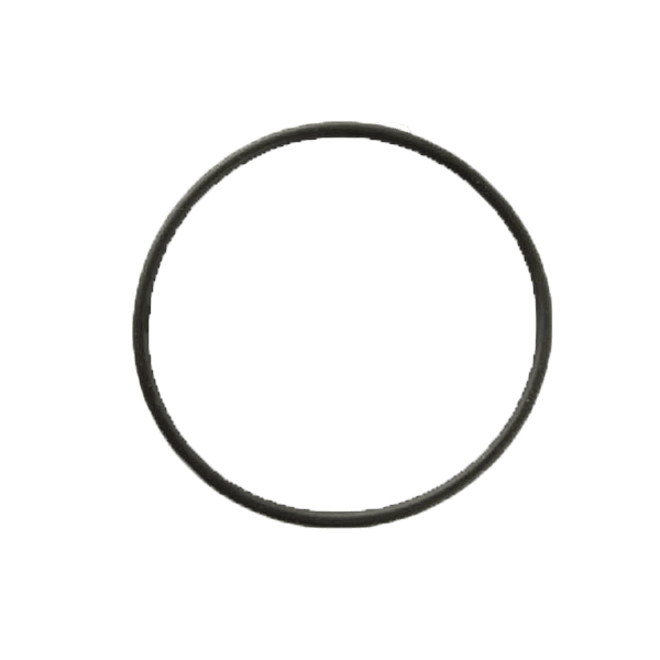 O Ring Seal