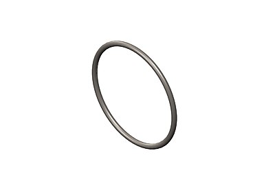 O Ring Seal