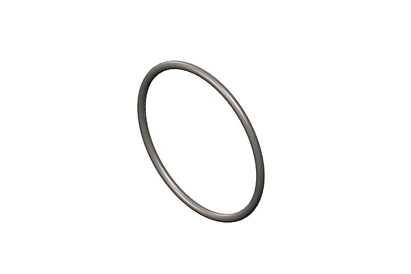 O Ring Seal